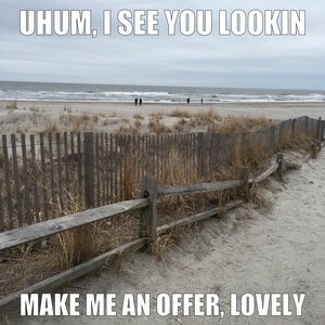 Make a reasonable offer, beautiful...